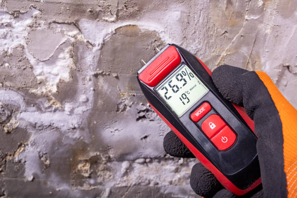 Best Emergency Mold Remediation in Genoa, AR